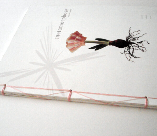 metamorphose